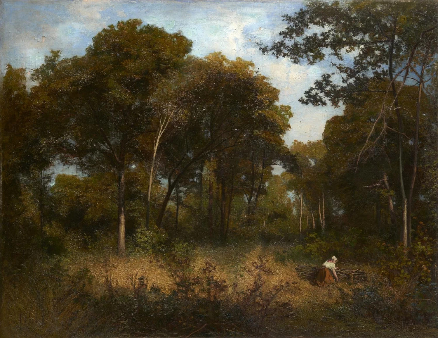 Nel bosco
